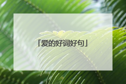 爱的好词好句