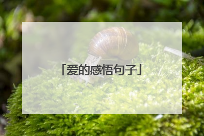 爱的感悟句子