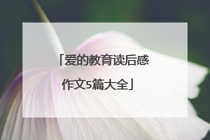 爱的教育读后感作文5篇大全