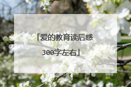 爱的教育读后感300字左右