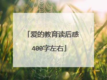 爱的教育读后感400字左右