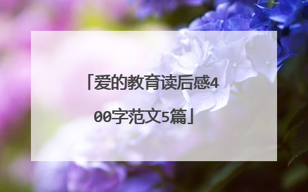 爱的教育读后感400字范文5篇