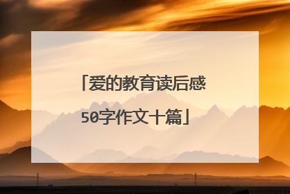 爱的教育读后感50字作文十篇