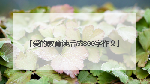 爱的教育读后感800字作文