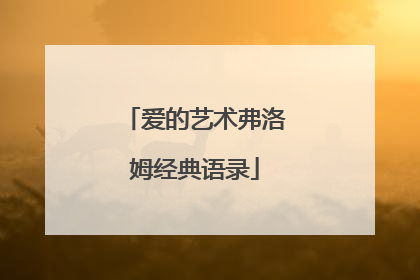 爱的艺术弗洛姆经典语录