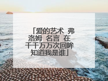 爱的艺术 弗洛姆 名言 在千千万万次回眸知道我是谁