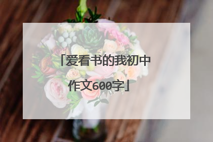 爱看书的我初中作文600字