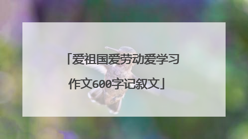 爱祖国爱劳动爱学习作文600字记叙文