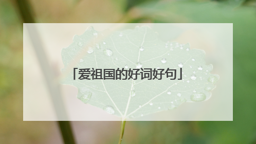 爱祖国的好词好句