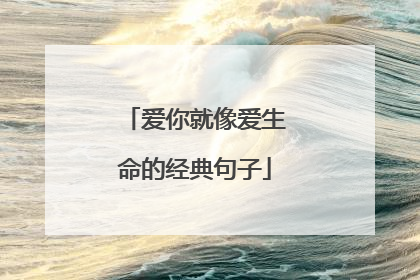 爱你就像爱生命的经典句子
