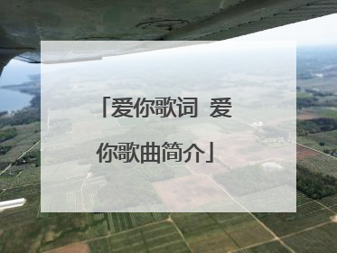 爱你歌词 爱你歌曲简介