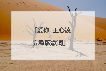 爱你 王心凌完整版歌词