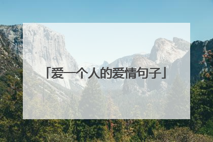爱一个人的爱情句子