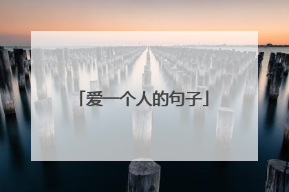 爱一个人的句子