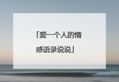爱一个人的情感语录说说