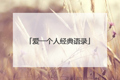 爱一个人经典语录