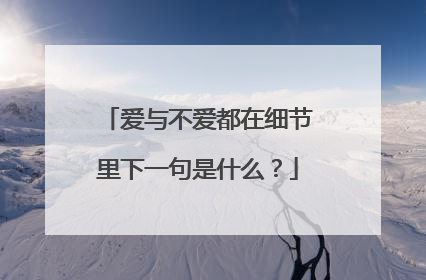 爱与不爱都在细节里下一句是什么？