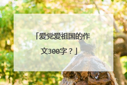 爱党爱祖国的作文300字?