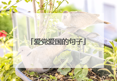 爱党爱国的句子