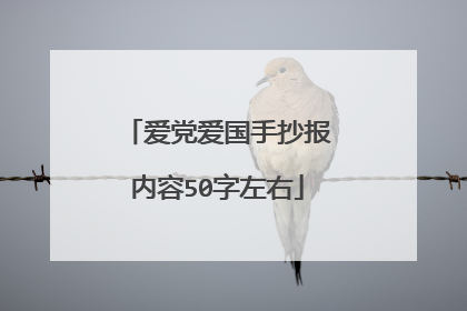 爱党爱国手抄报内容50字左右