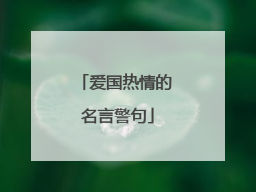 爱国热情的名言警句