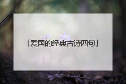 爱国的经典古诗四句