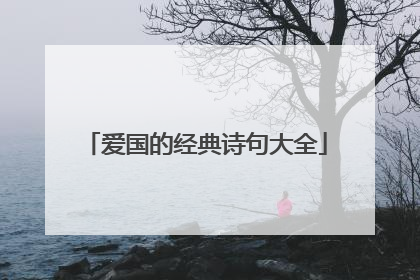 爱国的经典诗句大全