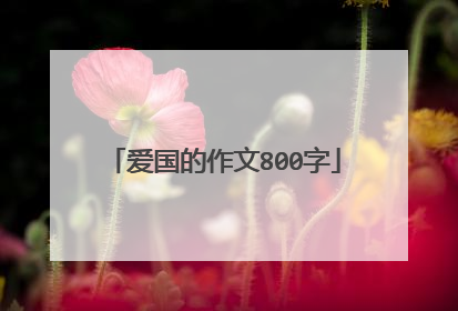 爱国的作文800字