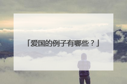 爱国的例子有哪些？