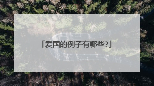 爱国的例子有哪些?