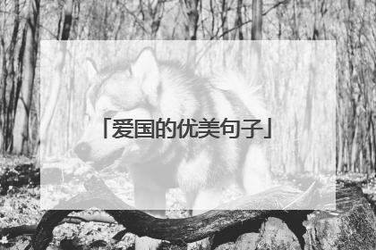 爱国的优美句子