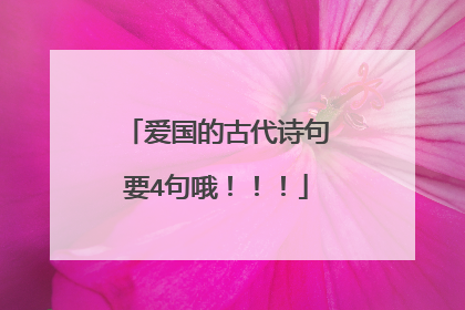 爱国的古代诗句要4句哦!!!