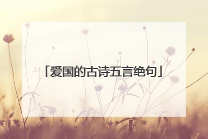 爱国的古诗五言绝句