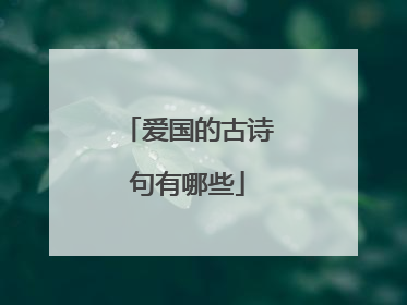 爱国的古诗句有哪些