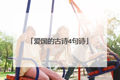 爱国的古诗4句诗