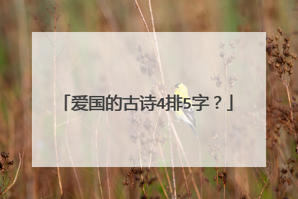 爱国的古诗4排5字？