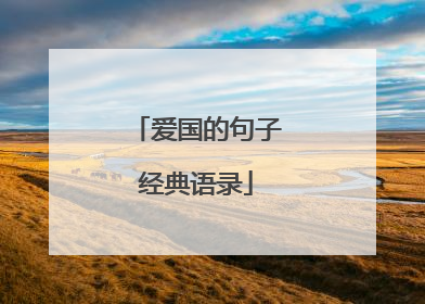 爱国的句子经典语录