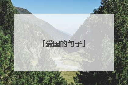爱国的句子