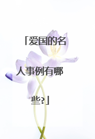 爱国的名人事例有哪些?