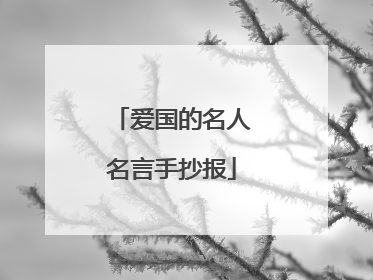 爱国的名人名言手抄报