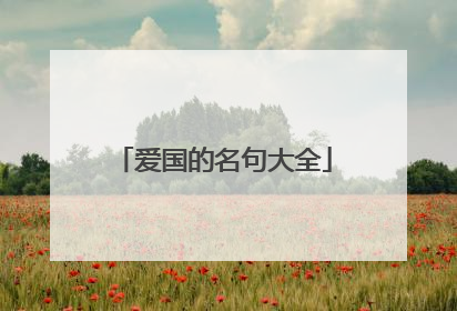 爱国的名句大全