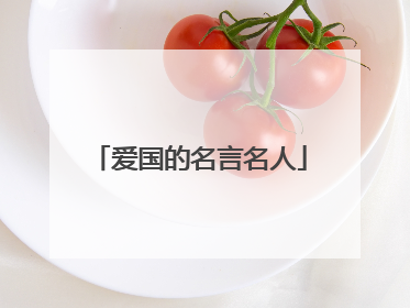爱国的名言名人