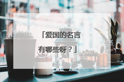 爱国的名言有哪些呀?