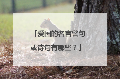爱国的名言警句或诗句有哪些?