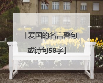 爱国的名言警句或诗句50字