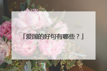 爱国的好句有哪些?