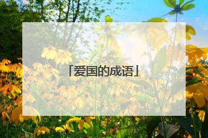 爱国的成语