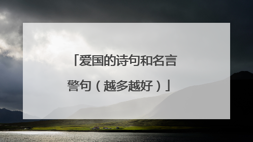 爱国的诗句和名言警句(越多越好)