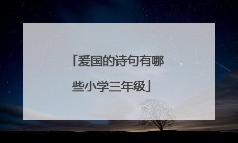 爱国的诗句有哪些小学三年级