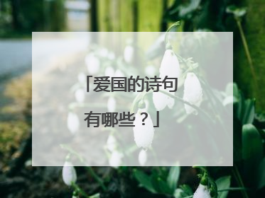 爱国的诗句有哪些?